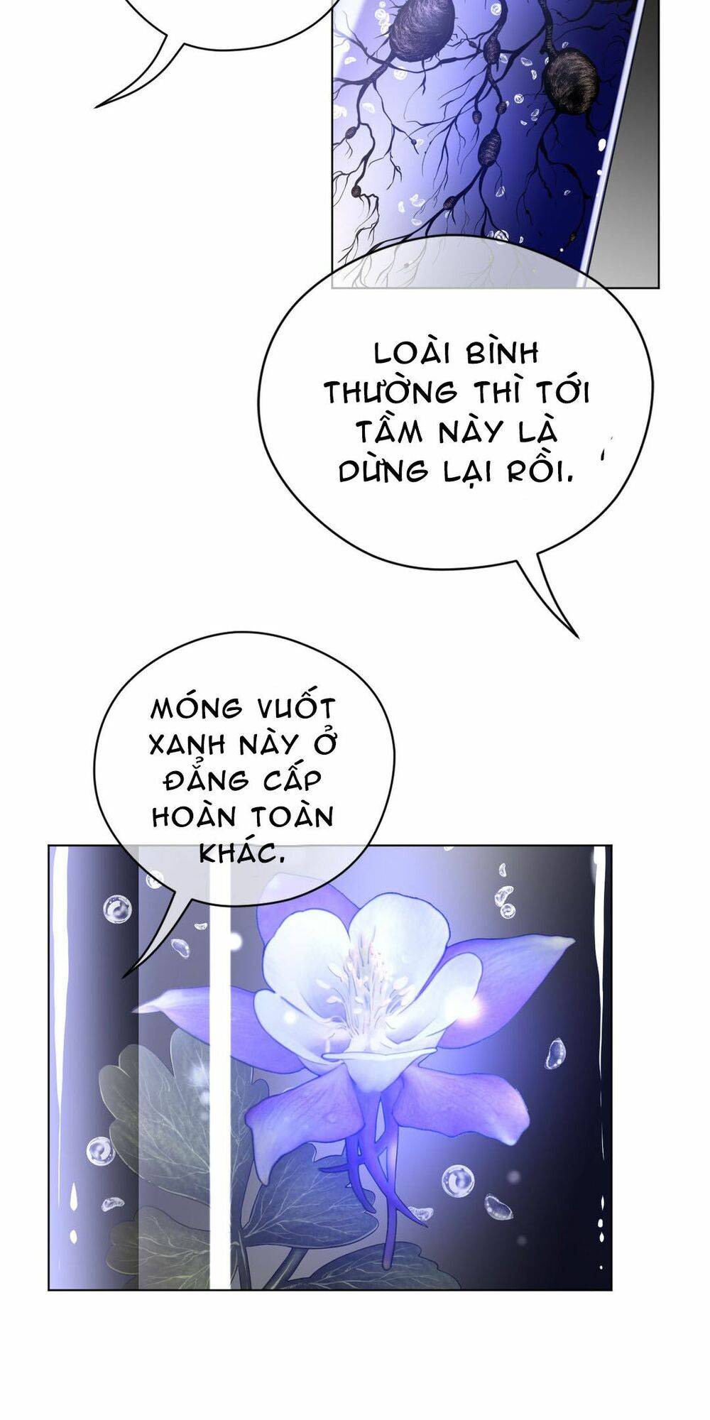 Một Nửa Hoàn Hảo