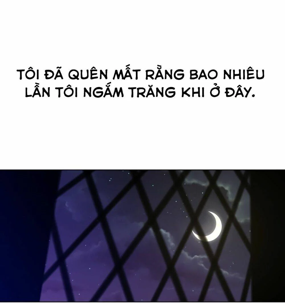 Một Nửa Hoàn Hảo