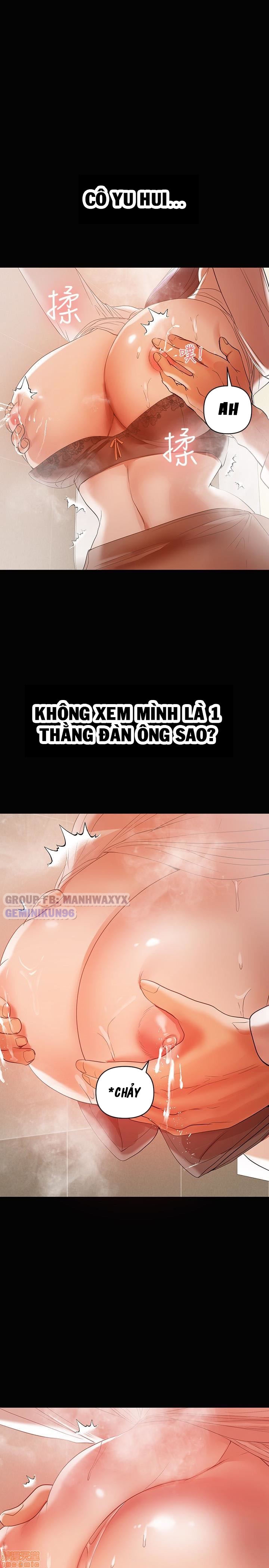 Bầu Sữa Vú Nuôi