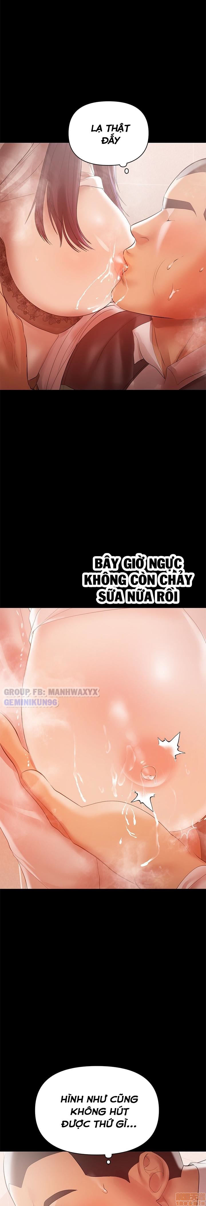 Bầu Sữa Vú Nuôi