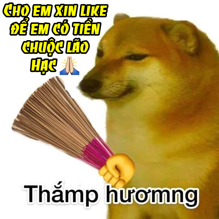 Thuê Băng Phim Heo