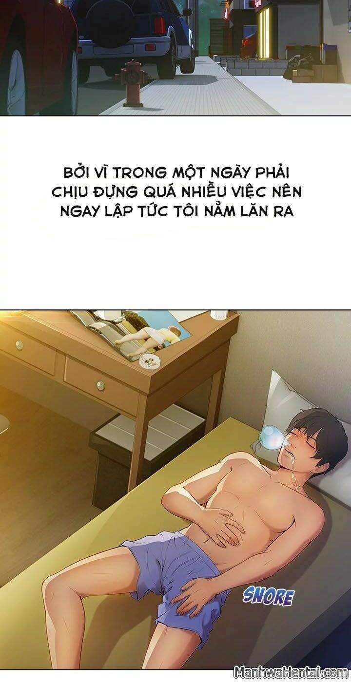 Quý Cô Chân Dài