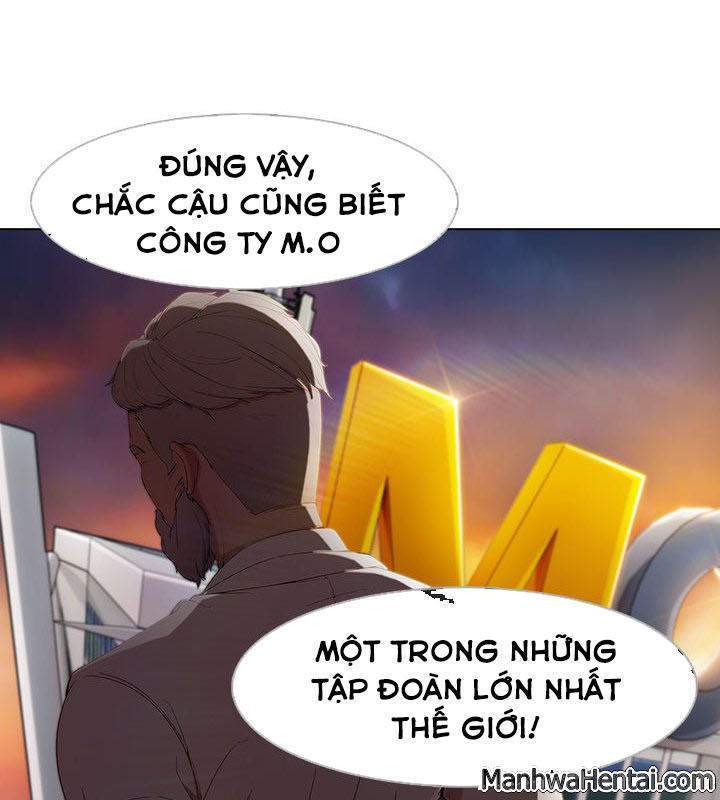 Quý Cô Chân Dài