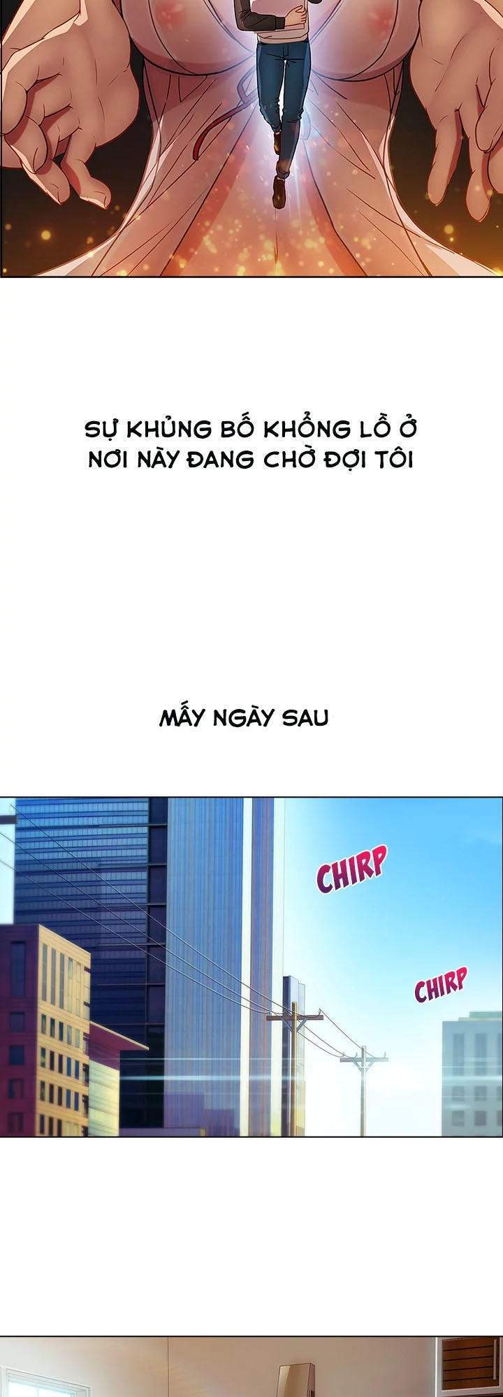 Quý Cô Chân Dài