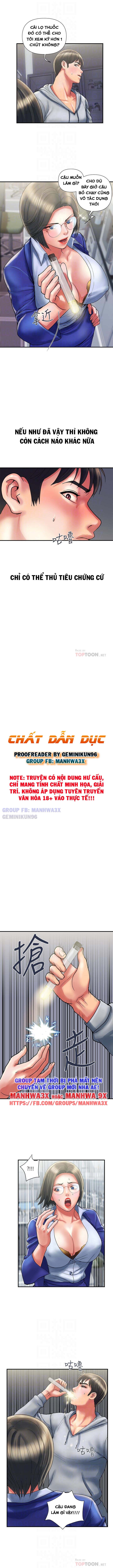 Chất Dẫn Dục