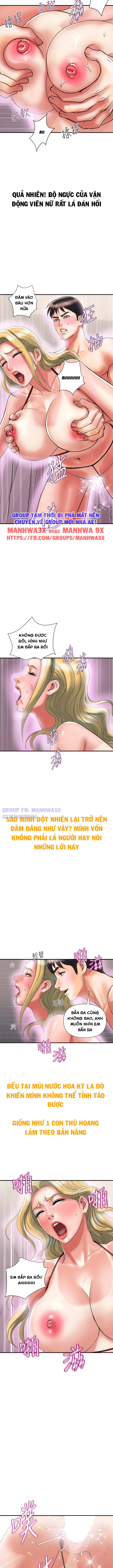 Chất Dẫn Dục