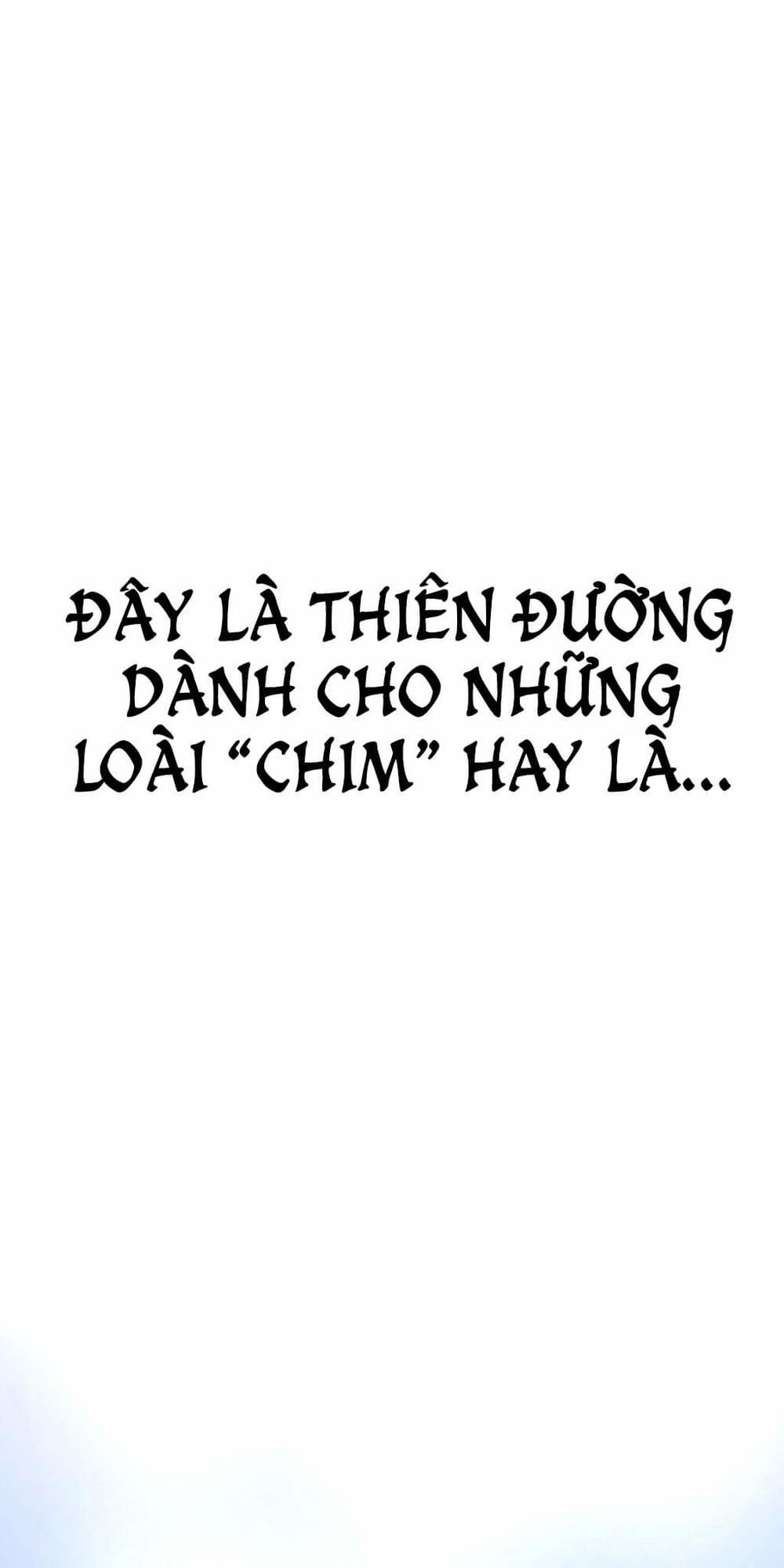 Phóng Thích Dục Vọng