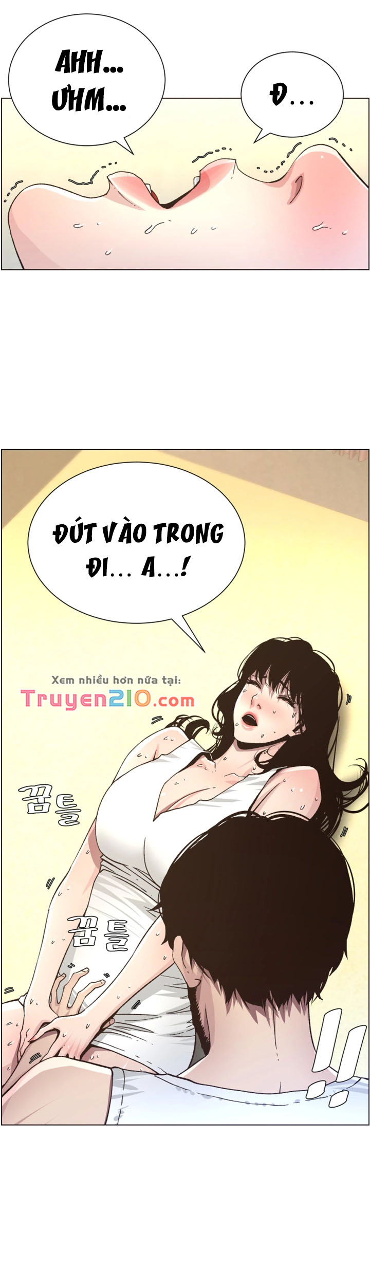 Bố dượng