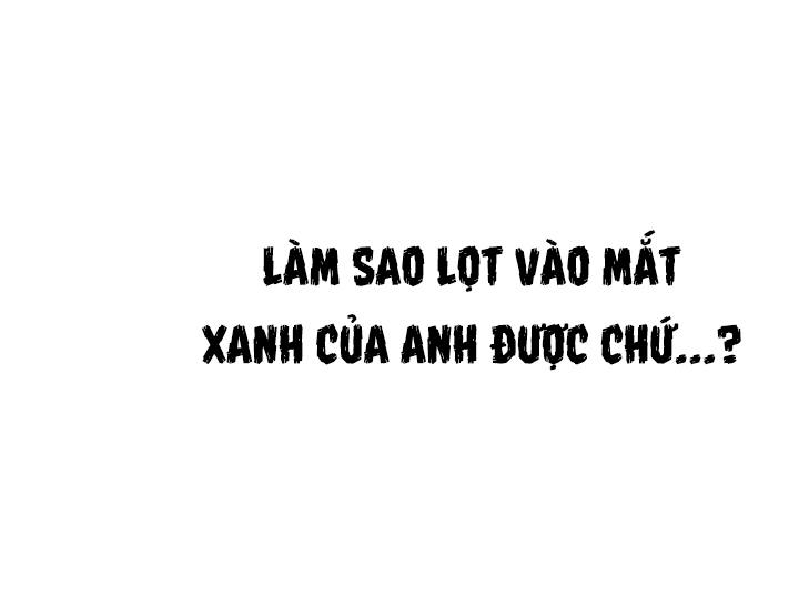 Hoạ Sĩ Khiêu Dâm