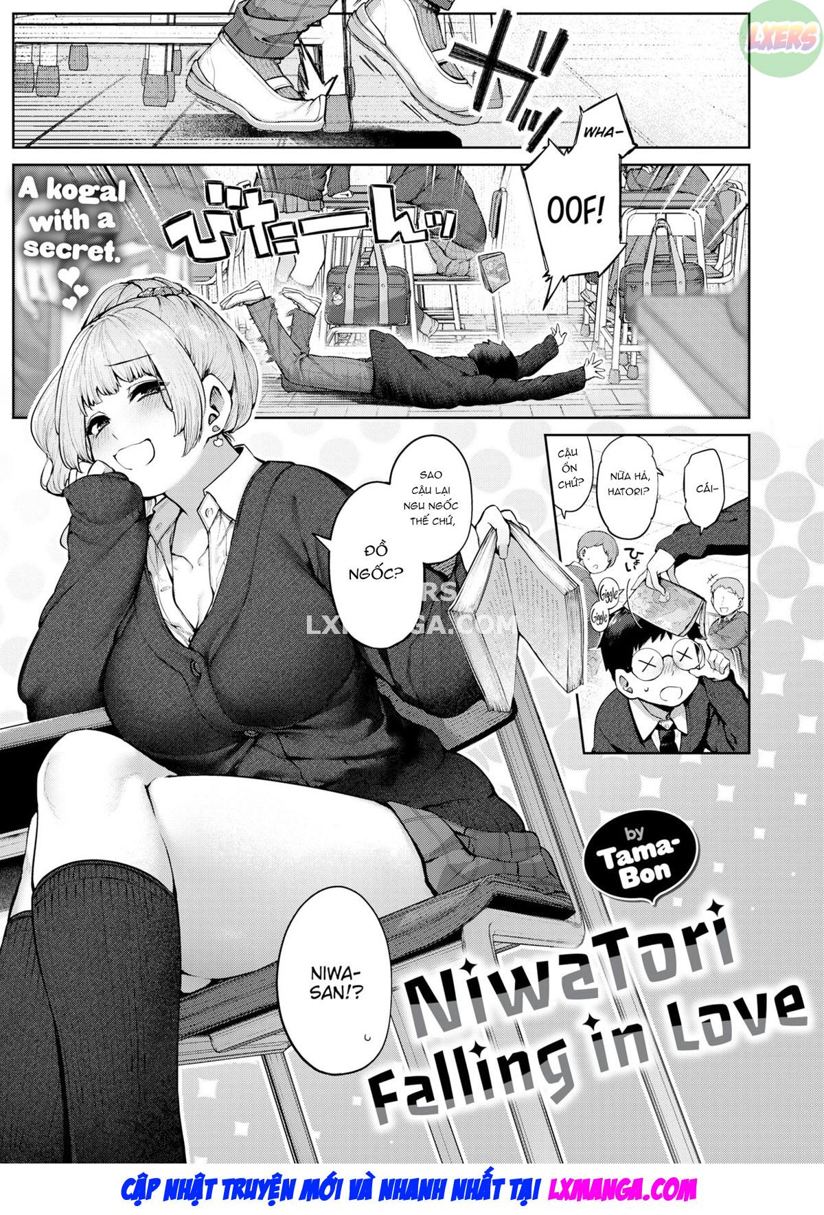 NiwaTori Falling in Love