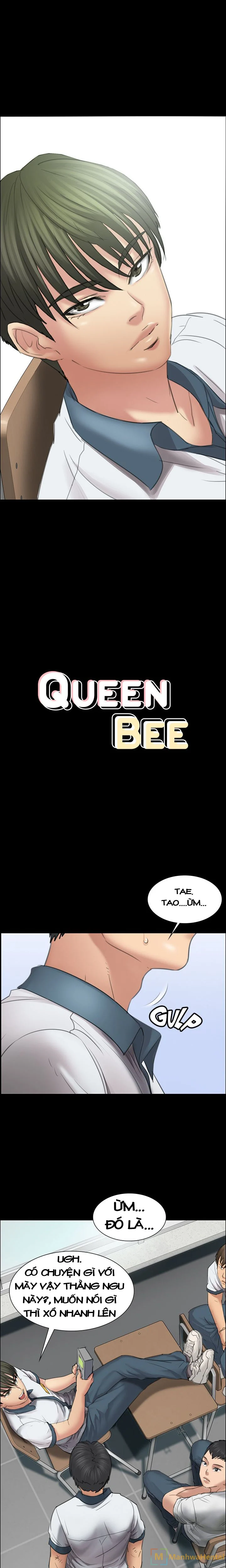 Queen Bee – Ong Chúa