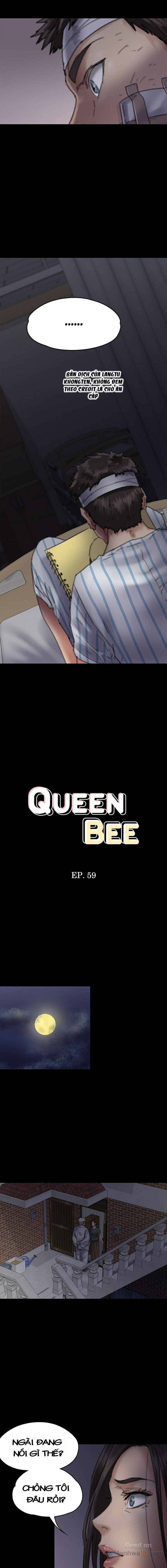 Queen Bee – Ong Chúa