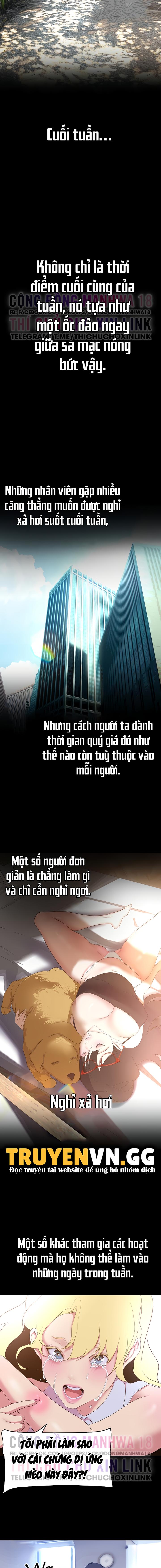 Tân Thế Giới Tuyệt Vời