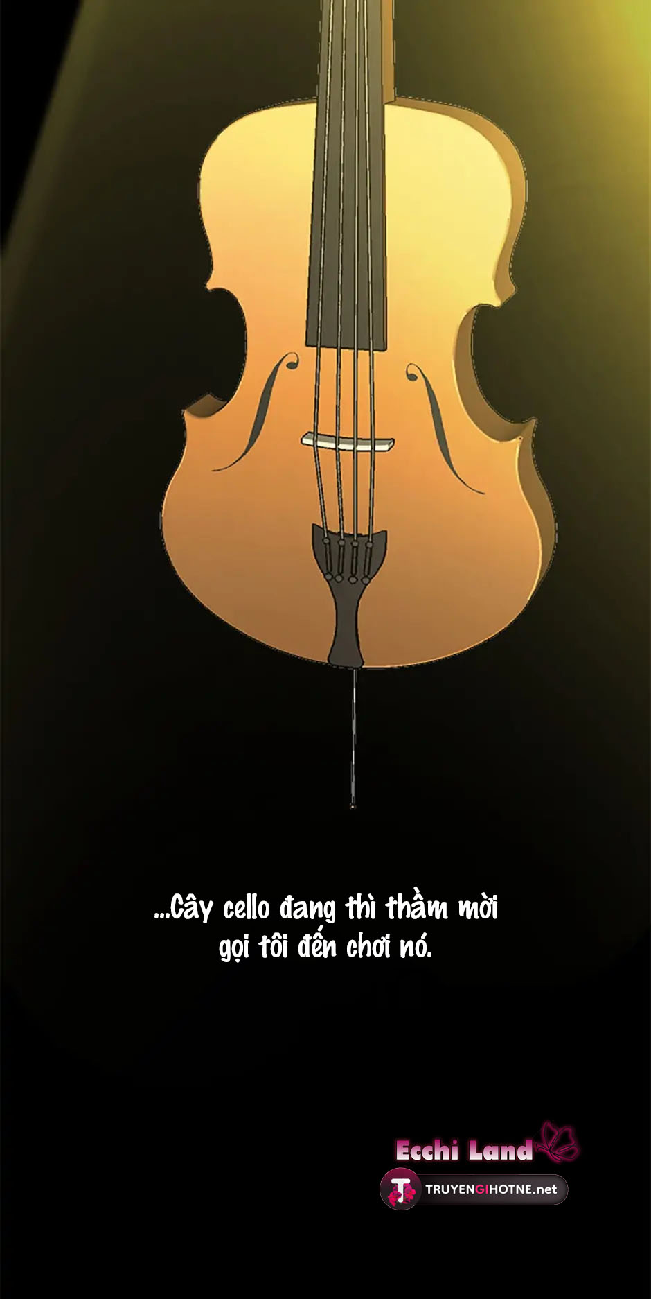 Nghệ Sĩ Cello