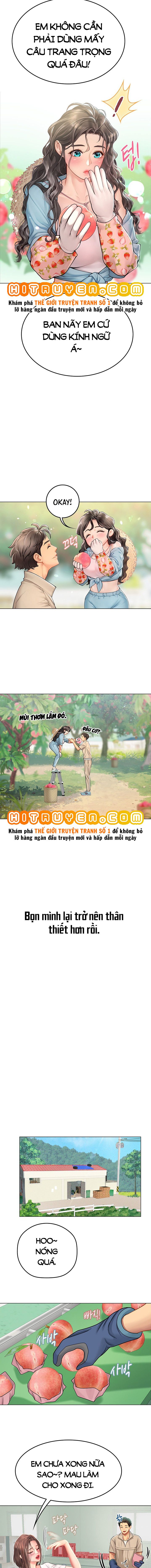 Thực Tập Ở Làng Tiên Cá