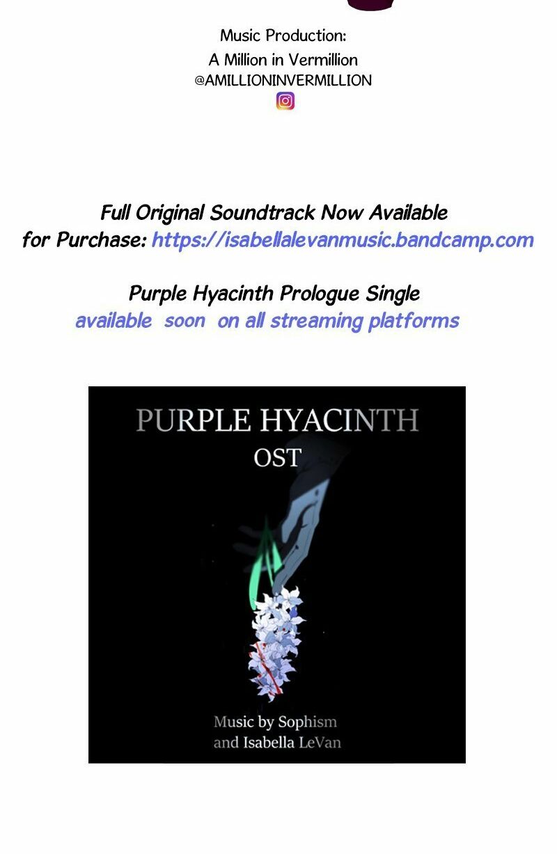 Purple Hyacinth