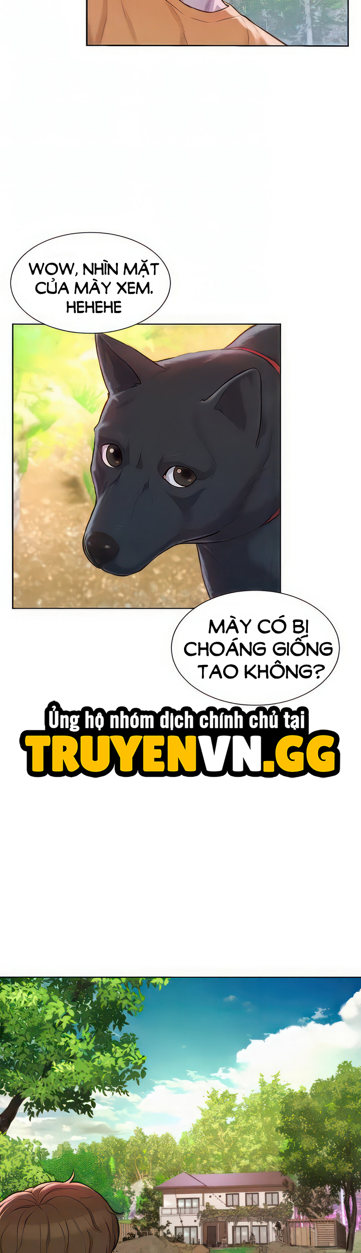 Trại Hè Lãng Mạn